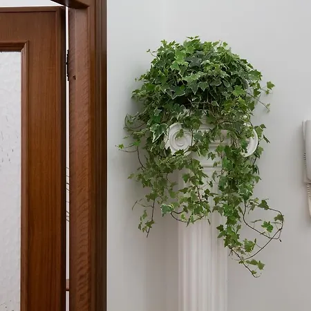 Steven 아파트 로마